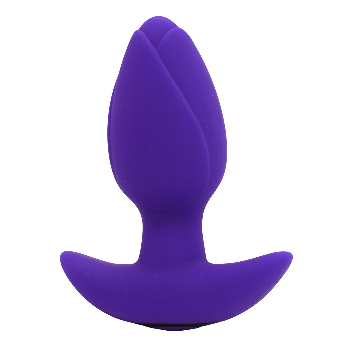 TPC Sparkle MAX Remote Vibrating Butt Plug